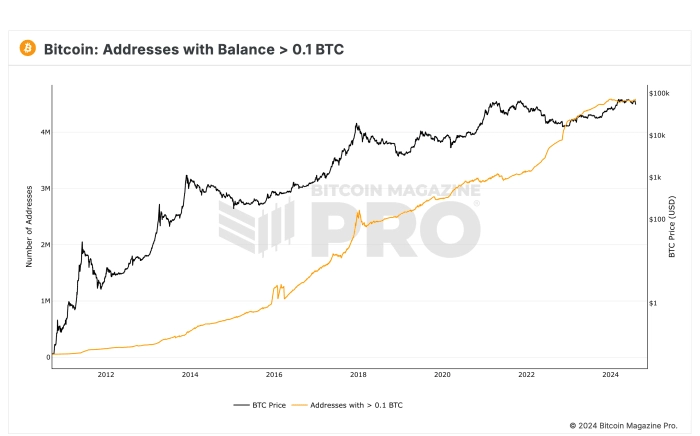 BM Pro - Bitcoin Wallet Sizes _ 0.1 BTC