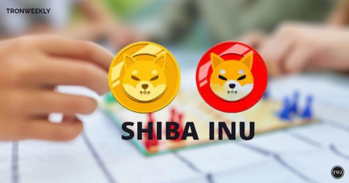 Shiba Inu