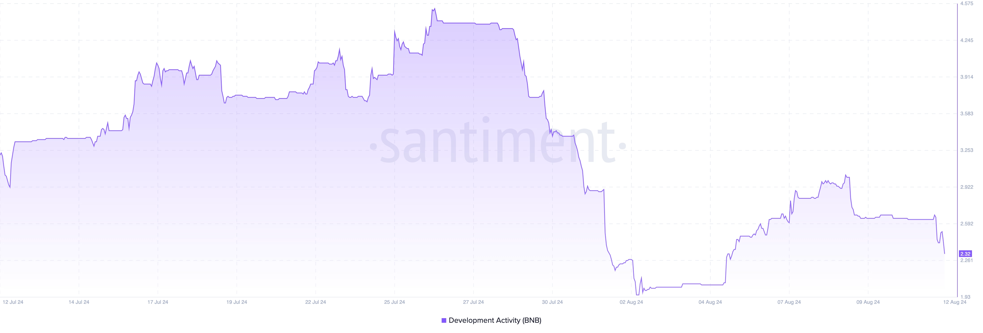 Binance Coin Development Activity. 
