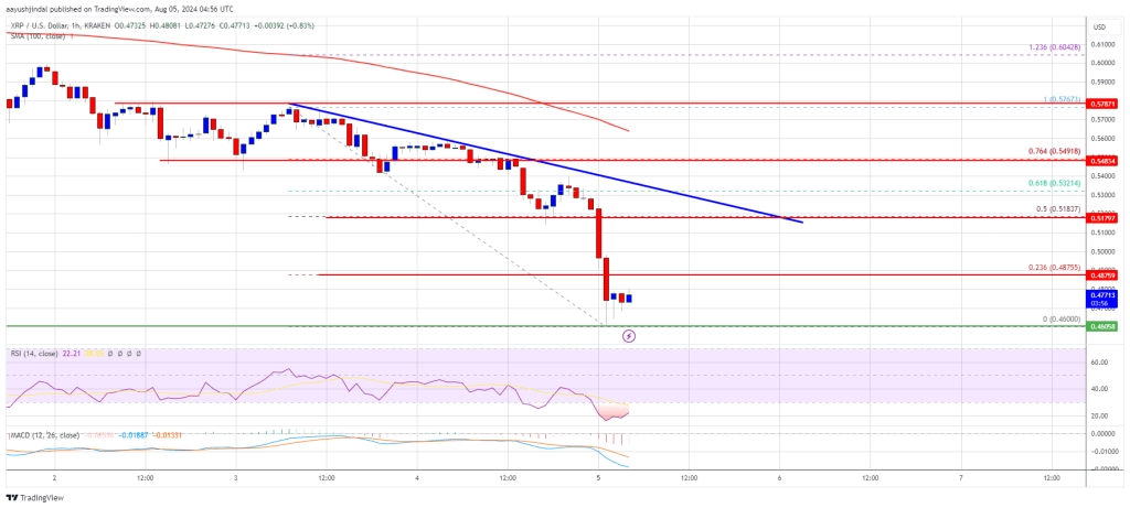 XRP Price