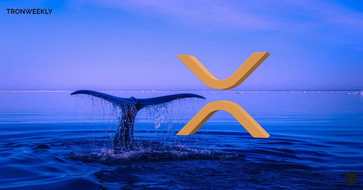 XRP Bulls Target $2 as Whale Accumulation, RSI Signal Explosive Breakout