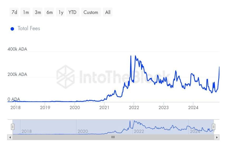 Cardano Total Transaction rise to multi-year highs 