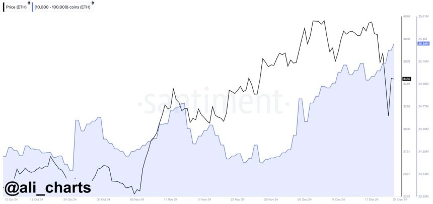 Ethereum whales bought 340,000 ETH in the last 96 hours 