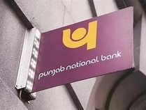 PNB issues Rs 3,000 crore worth of bonds to 14 allottees