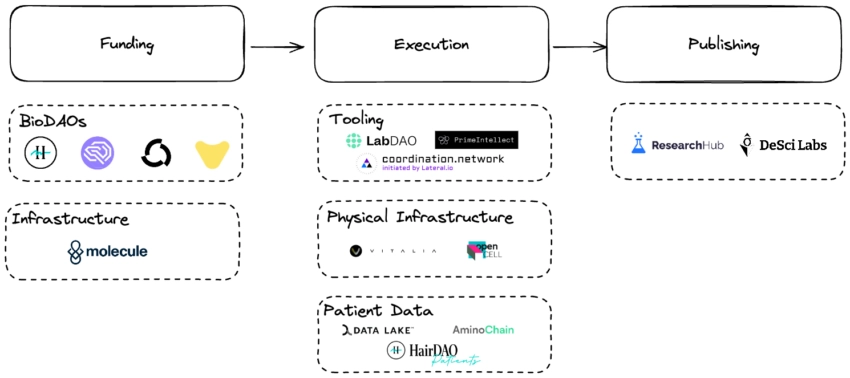 The DeSci Value Chain (2024)