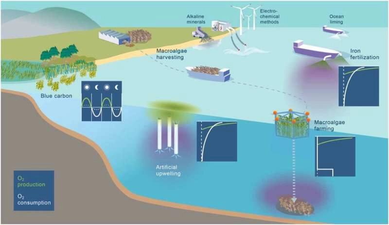 What helps the climate is not automatically good for the ocean