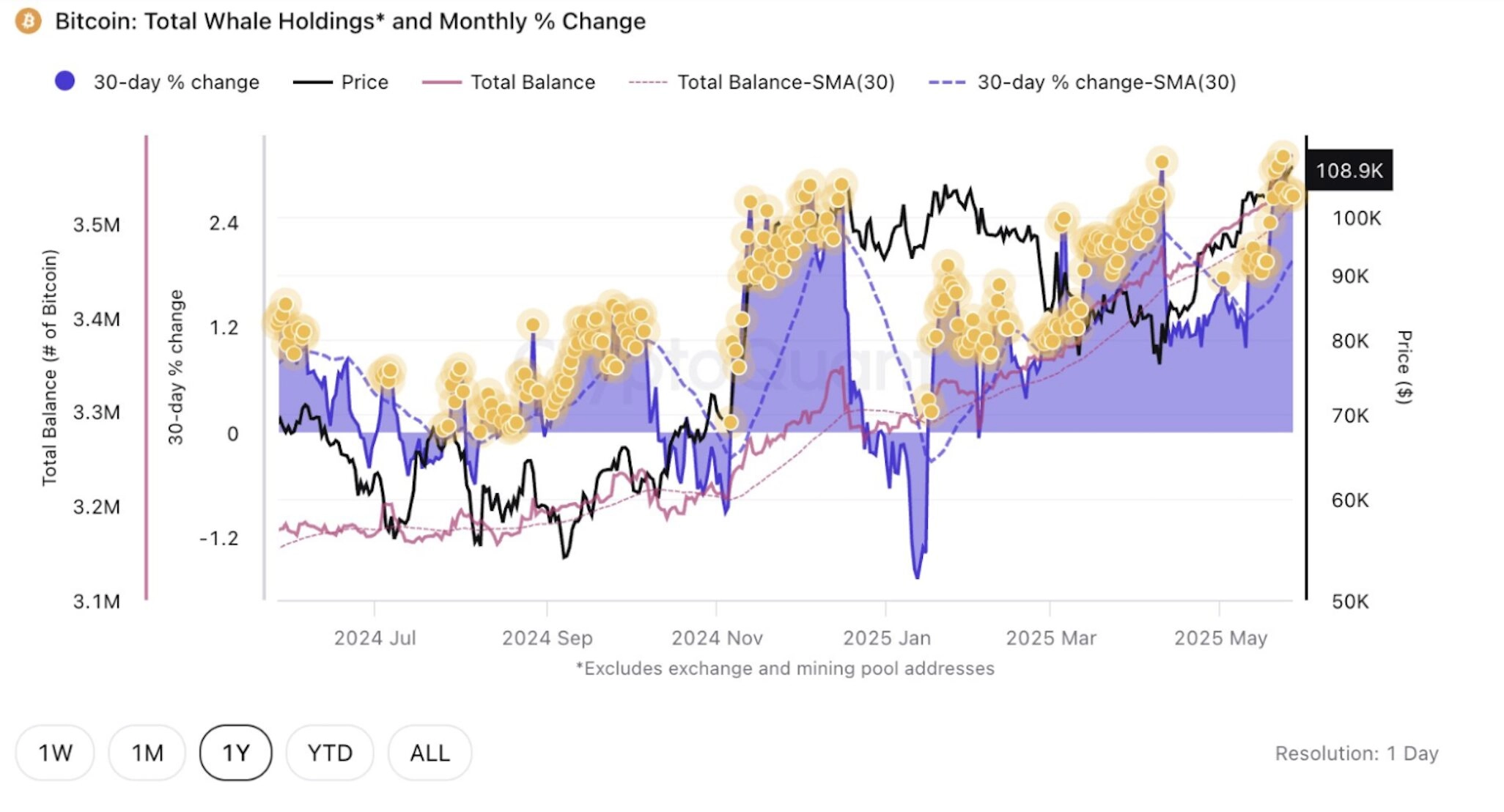 Whale Accumulation Signals Renewed Confidence