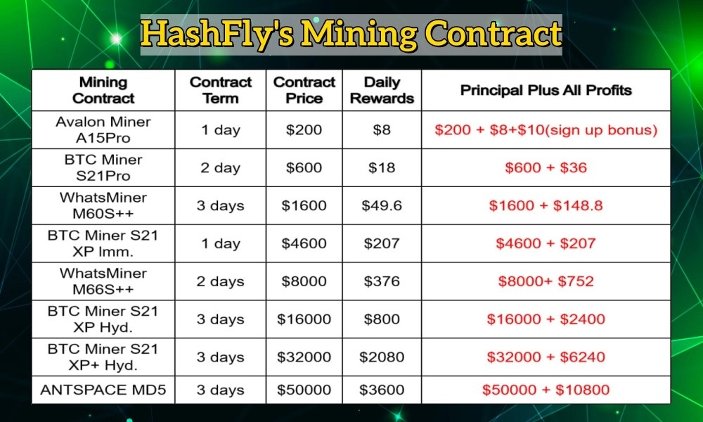 HashFly Mining Plans: Tailored for Maximum ROI