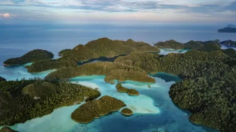 Global Witness An aerial photograph of a group of small, forested islands in turquoise blue seas. This is a view of a small section of hundreds of islands that make up the The Raja Ampat archipelago - a group of small islands in the country's Southwest Papua Province is sometimes referred to as the