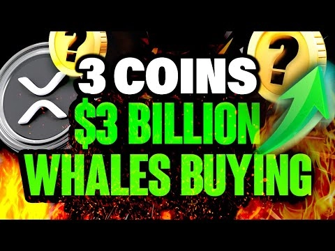 Crypto Whales Are Buying These 3 Altcoins Ahead of Alt Season =