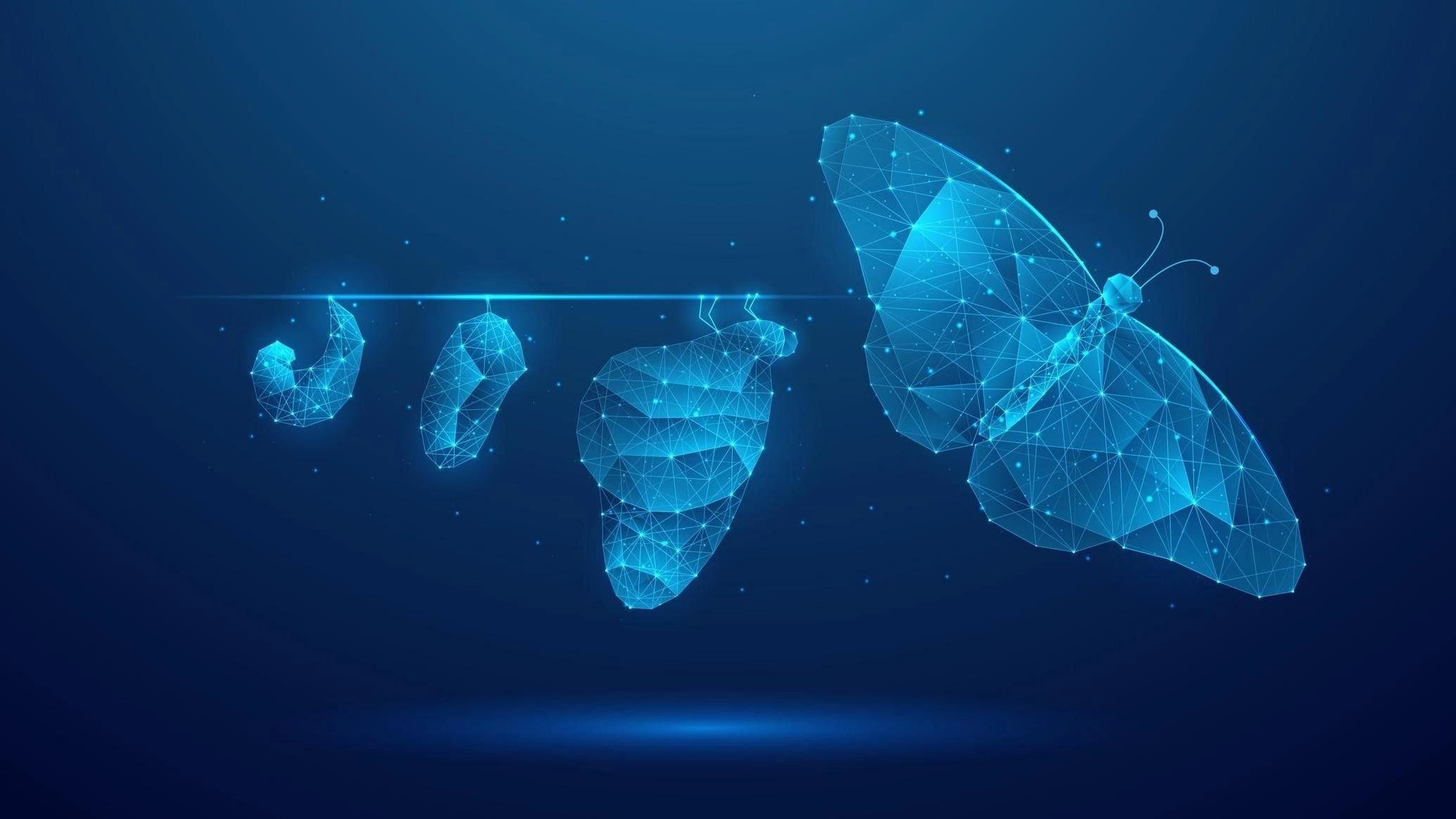Evolution, digitalen Transformation, 16:9