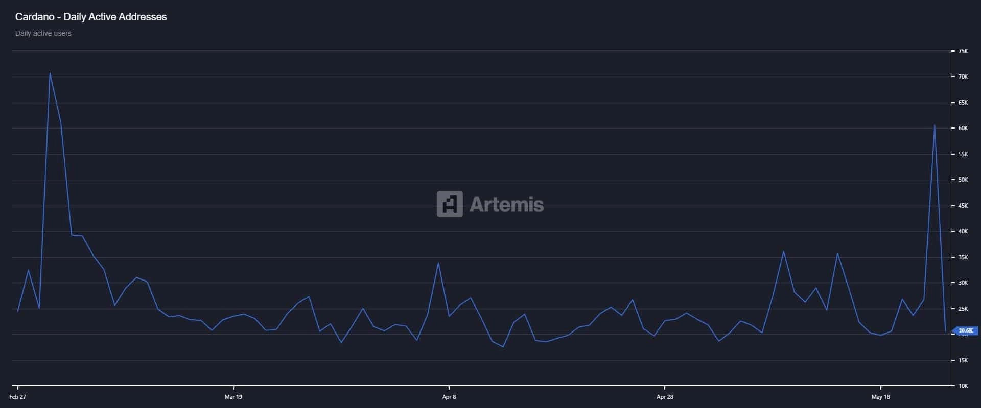 daily active Cardano investors
