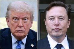Trump Musk