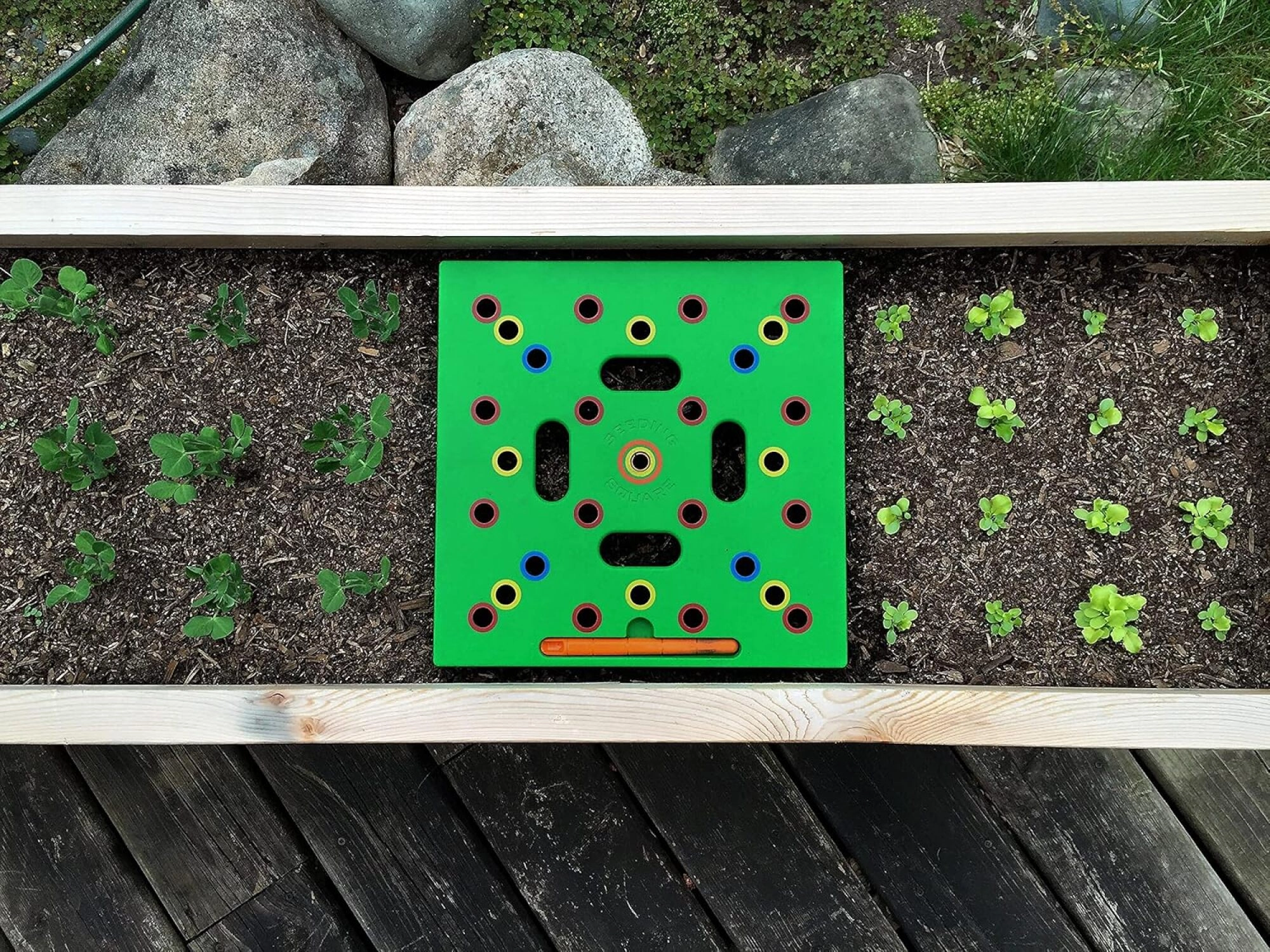 Seeding square
