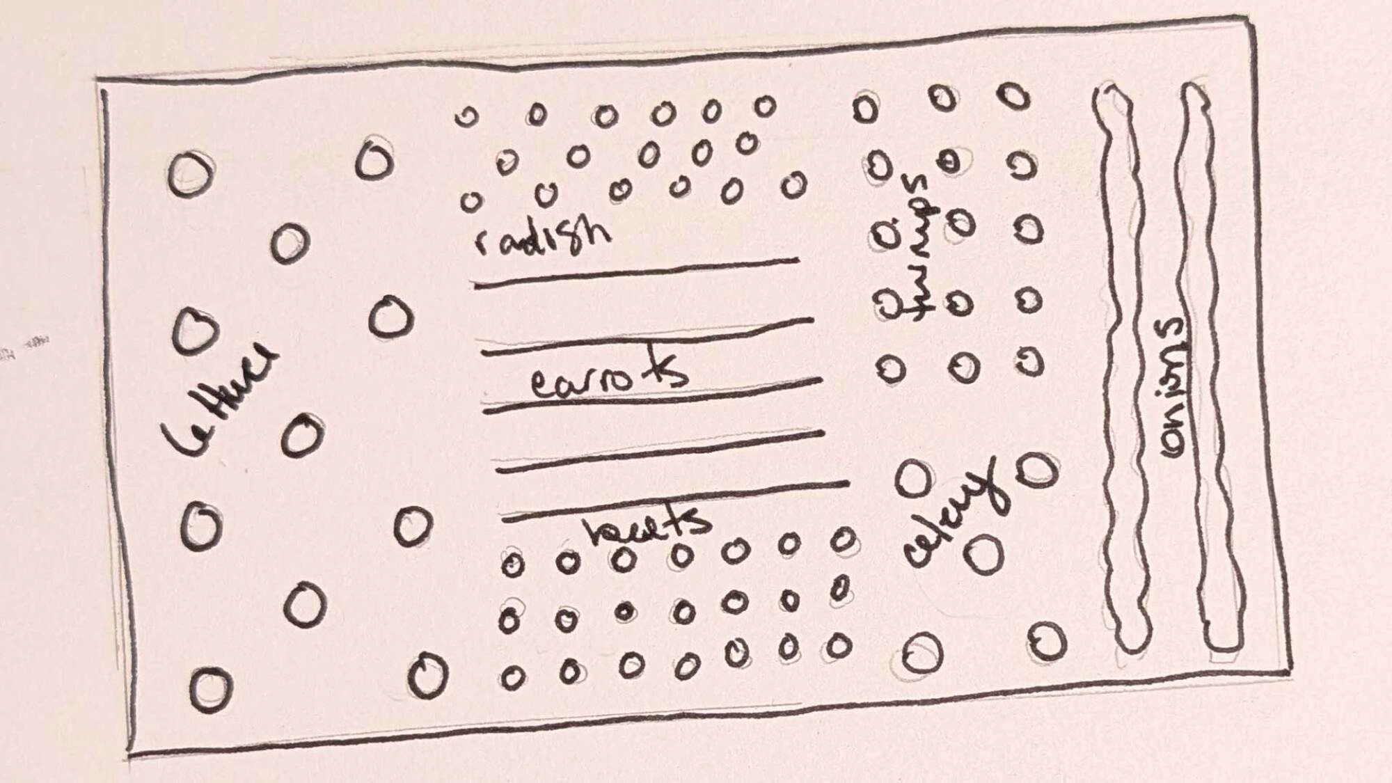 layout sketch for garden spacing