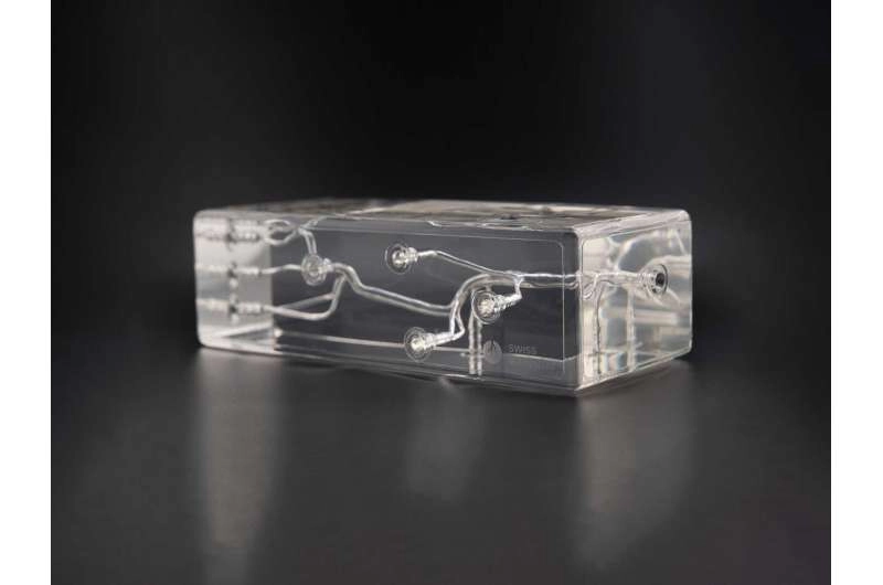 Practising medicine on a lifelike silicone model