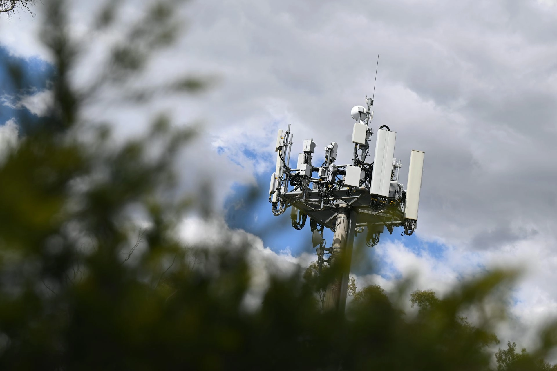 A phone tower rising above trees.