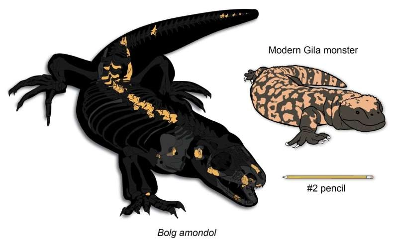 New monstersaur species a 'goblin prince' among dinosaurs