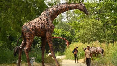 'Wild wonders in scrap: A sneak peek inside Noidas Jungle Trail park' (see pics)