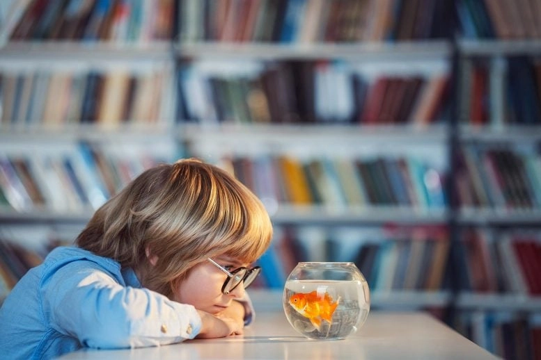 Child With Goldfish