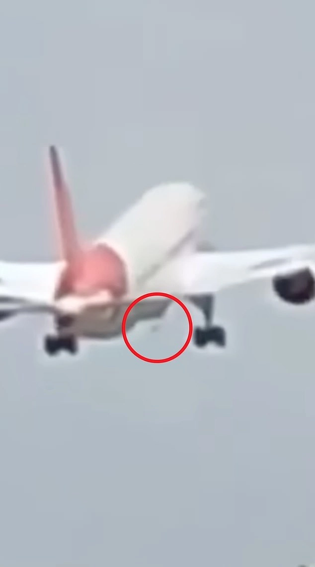 An aviation expert said the protrusion and the grey dot underneath the plane were evidence of the Ram Access Turbine (RAT) deploying
