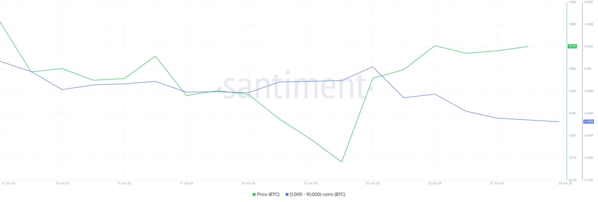 Bitcoin Whale Holdings
