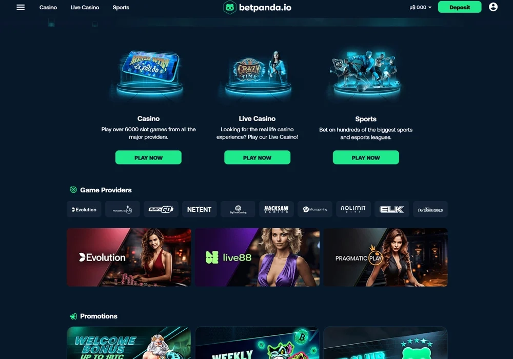 Betpanda Homepage