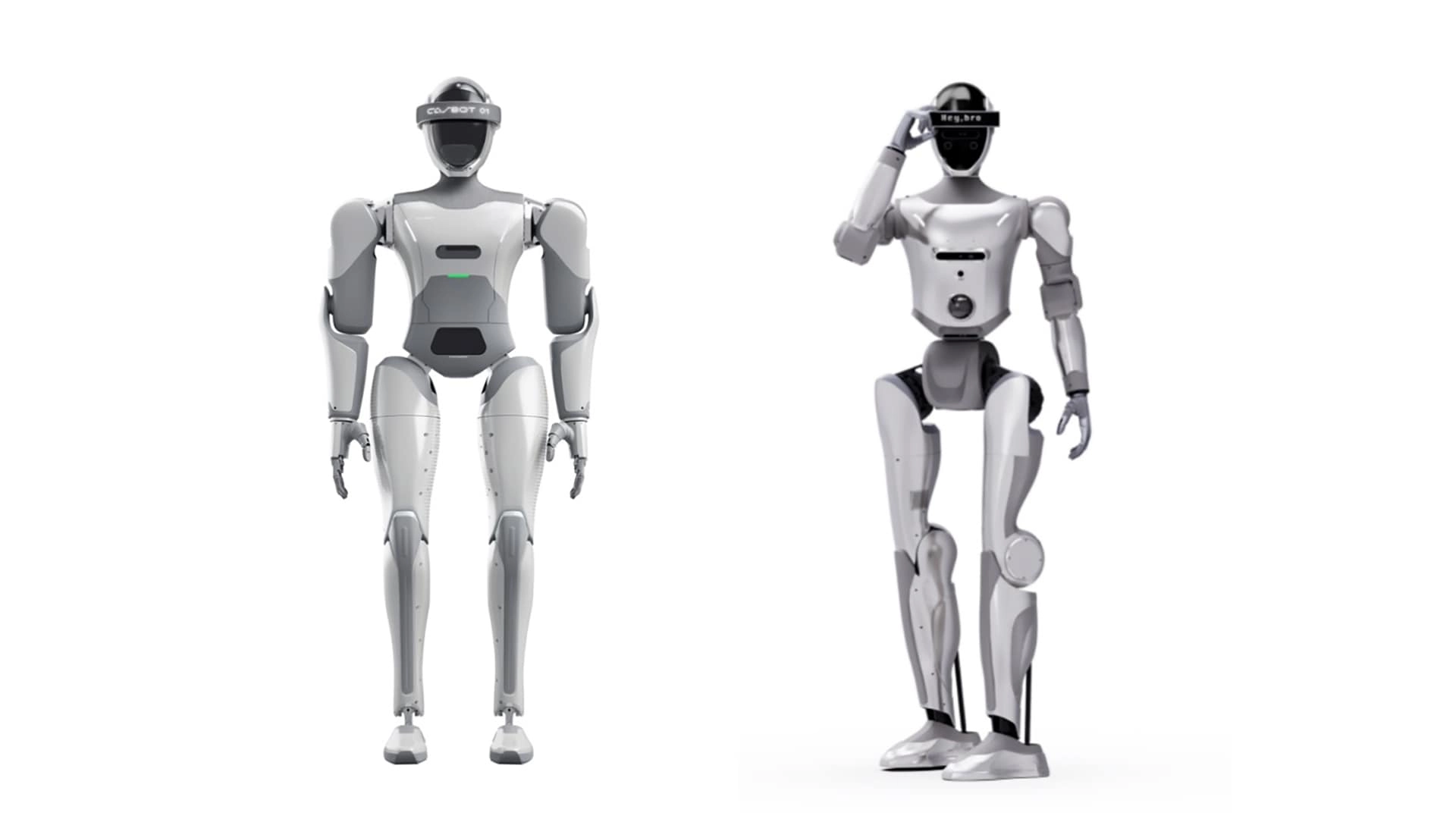 Image of the Casbot 01 (left) and Casbot 02 humanoid robots.