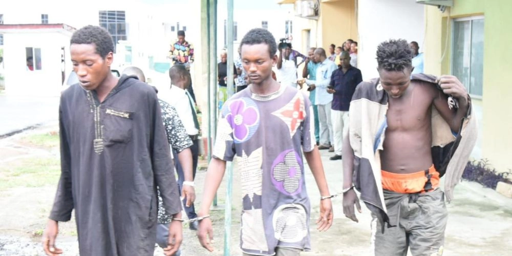 Three cattle rustlers arrested in Abia