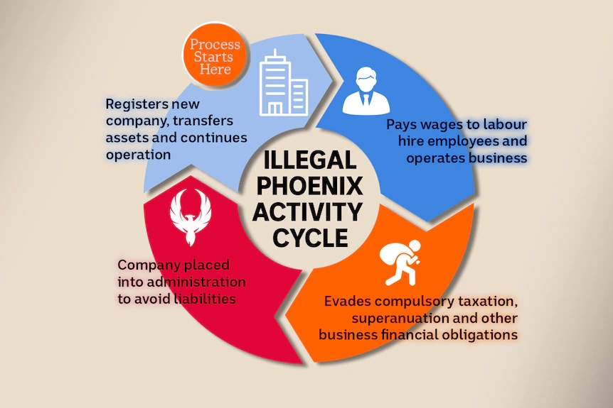 a circle graph explaining the process of illegal phoenix activity
