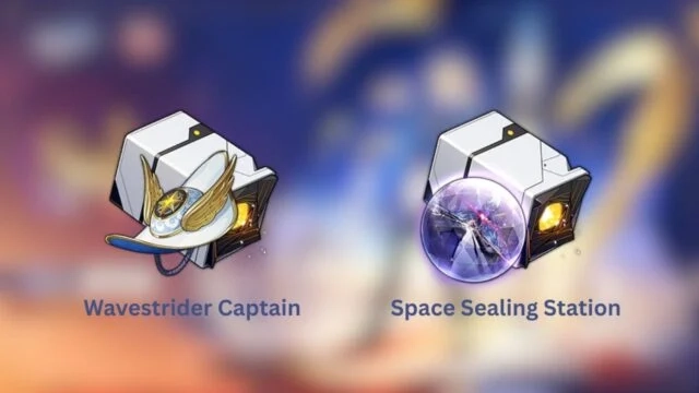 Saber Relics and Ornaments