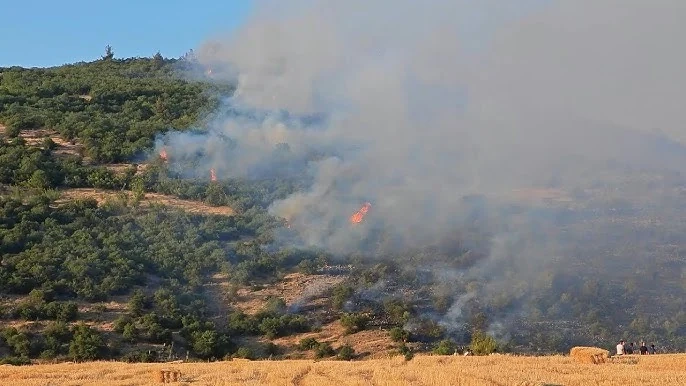 In Turkey, more than 50,000 people were evacuated from the Izmir province, where winds clocking 120 km/h (75 mph) worsened wildfires. (Image: YouTube/AFP/Screengrab)