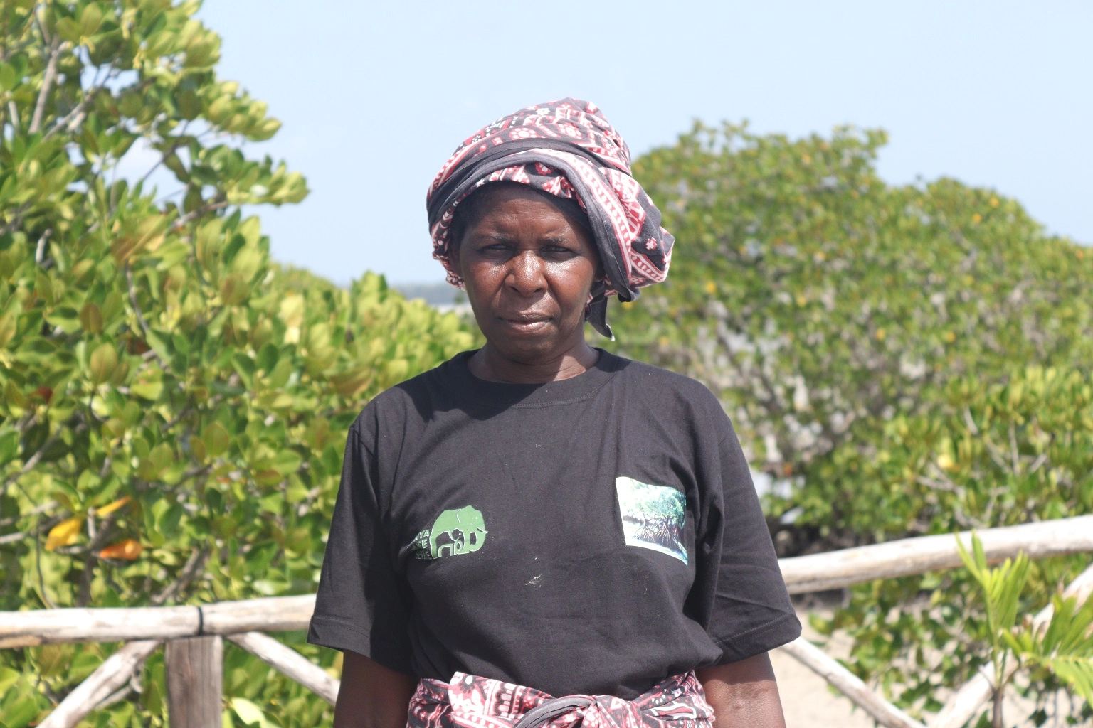Dama Karisa, a resident of Mida, notes that climate change also impacts the survival of juvenile mangroves.
