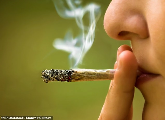 The call for action comes after figures on Sunday revealed that three in four people caught with the drug last year were let off with an informal warning or community resolution