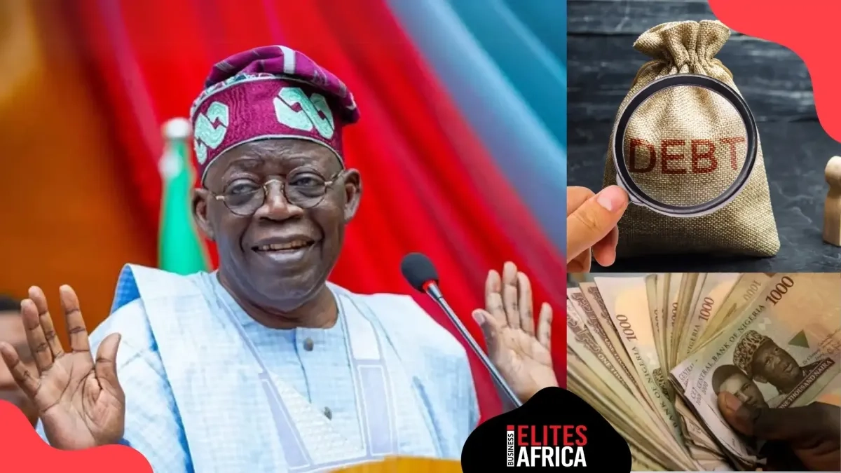 What Nigerias Debt Surpassing �180 Trillion Means for Nigeria