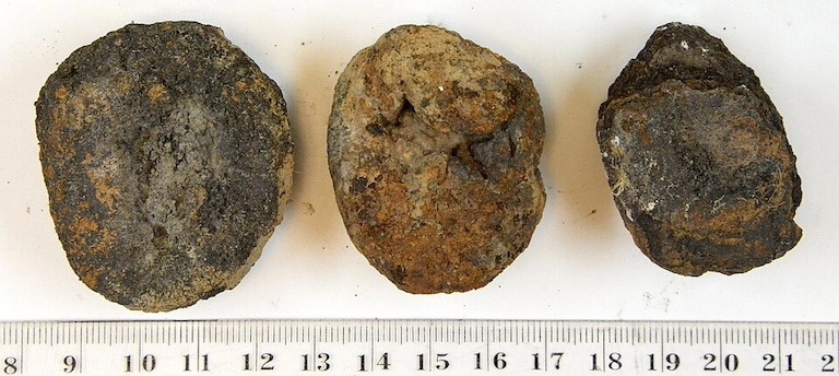 These unassuming brown blobs are polymetallic nodules (also called manganese nodules) and contain valuable metals. Image by Hannes Grobe via Wikimedia Commons (CC BY-SA 4.0).
