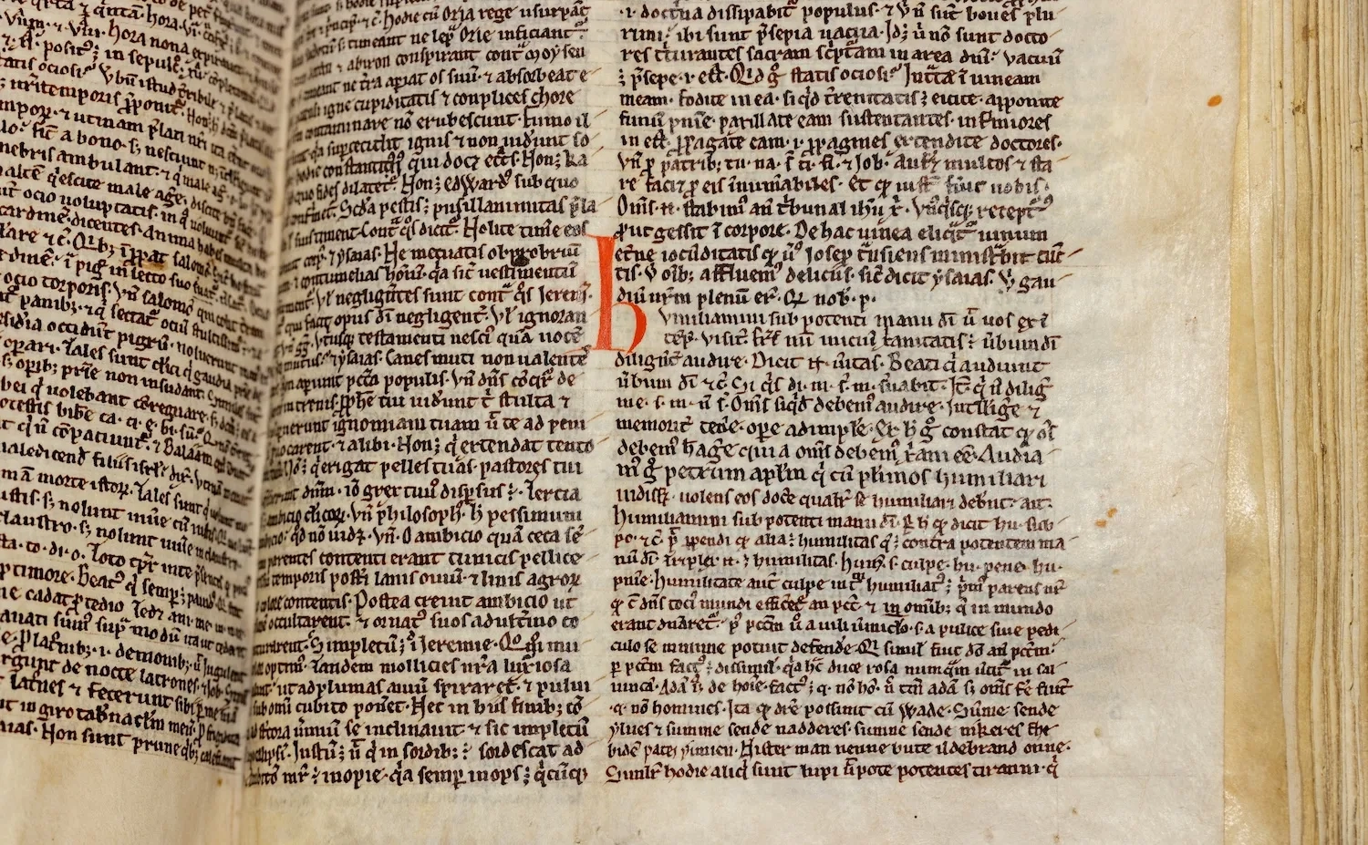 A close-up of the passage that baffled scholars for decades. Credit: Master and Fellows of Peterhouse / University of Cambridge