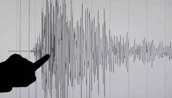 A representational image of a Richter scale measuring earthquake.  Reuters/File