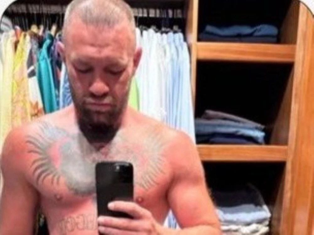 Conor McGregor appeared to send inappropriate pictures to Azealia Banks.