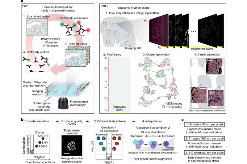 New technology to obtain more information from the same tissue sample