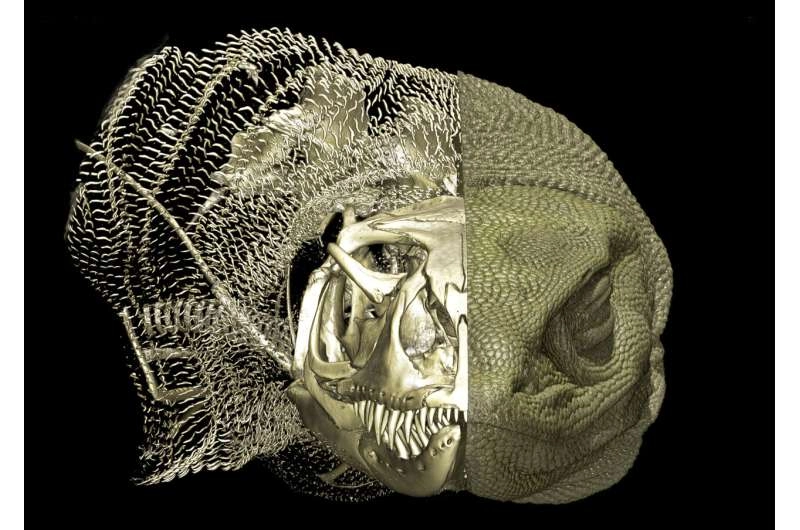 Scientists uncover hidden bone structures in the skin of Australian monitor lizards and it could unlock the secrets to their evolutionary success