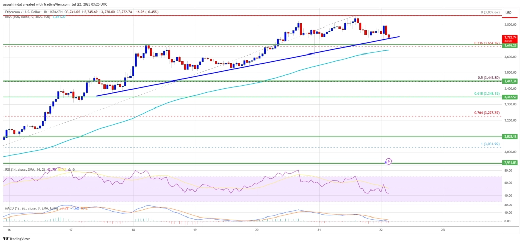 Ethereum Price