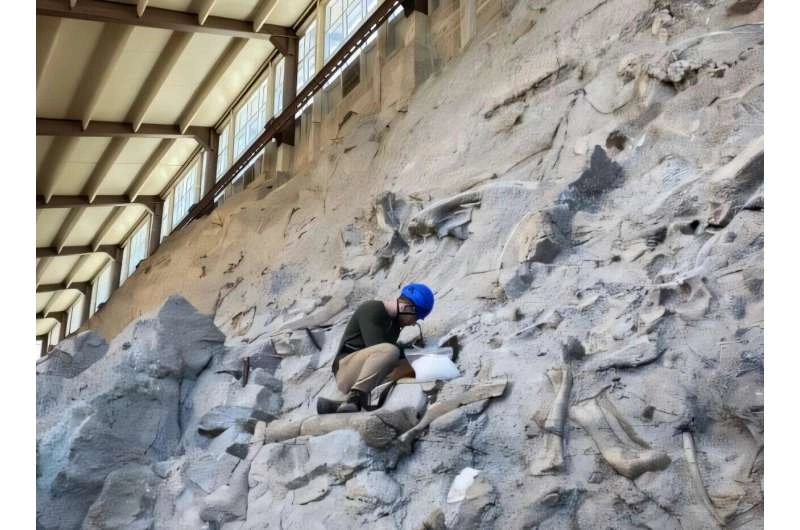 Clues for dinosaurs' diets found in the chemistry of their fossil teeth
