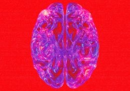 Fireboy DML Dopamine