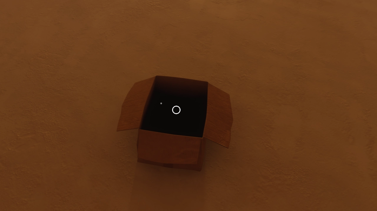 Enter the cardboard box.