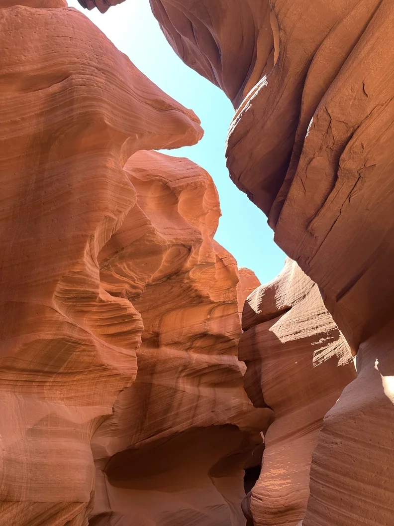 What to Do in Scottsdale, Arizona: Sightseeing Tour