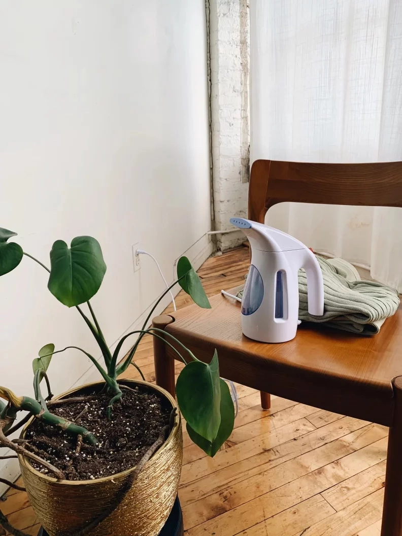 A Travel Steamer