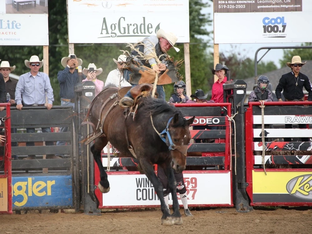 Rodeo