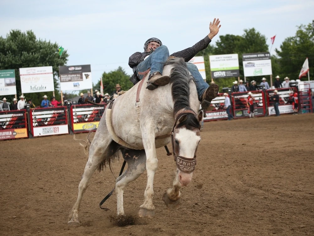 Rodeo