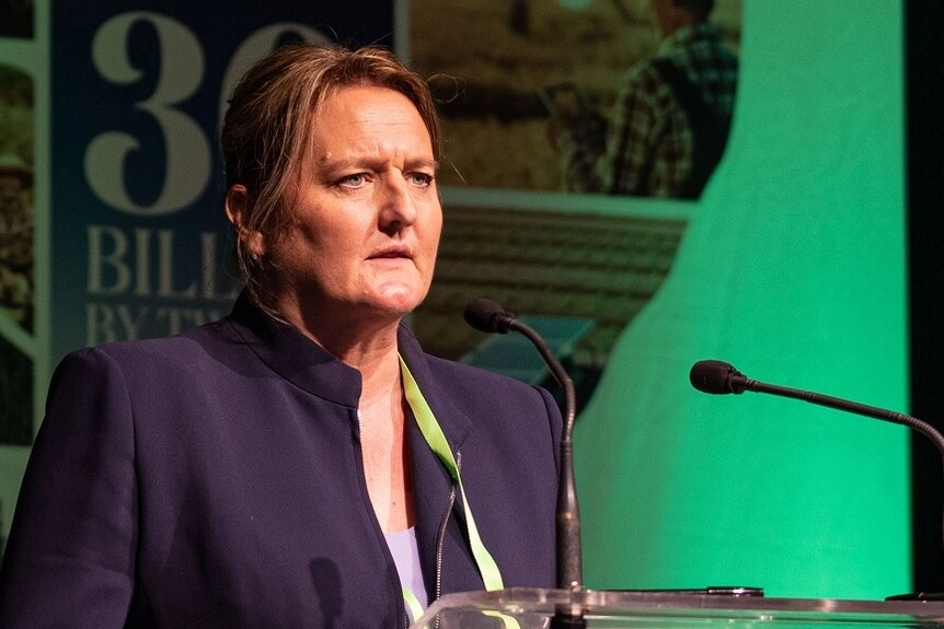 Rebecca Reardon VP NSW Farmers Association